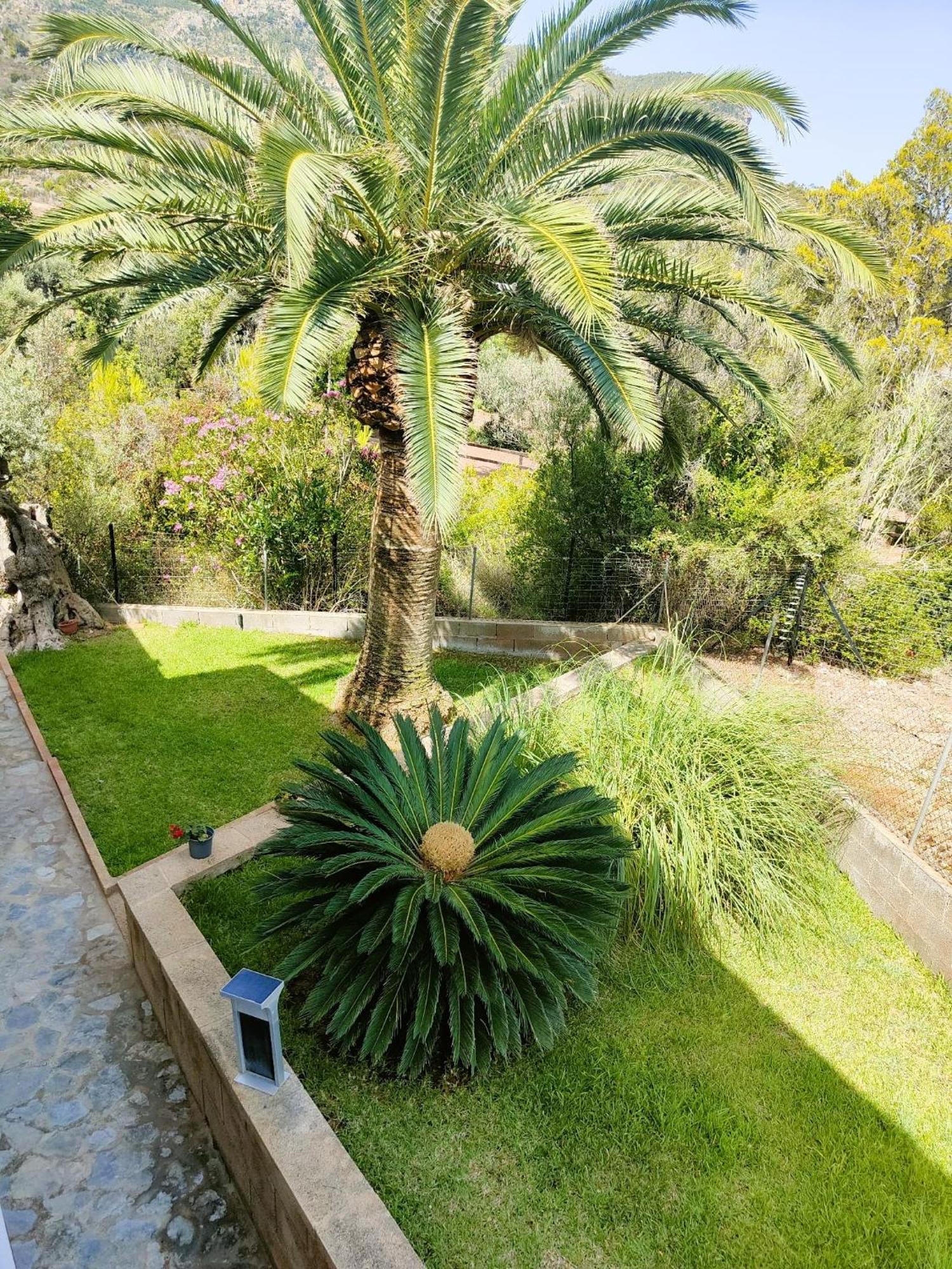 Villa Capllonch Banyalbufar Ngoại thất bức ảnh